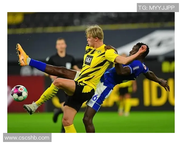 沙尔克04陷入连败泥沼，德甲倒数第二堪忧