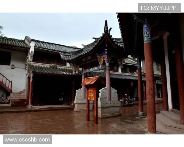 盐都姚明森：探索盐城的文化底蕴与自然风光之美